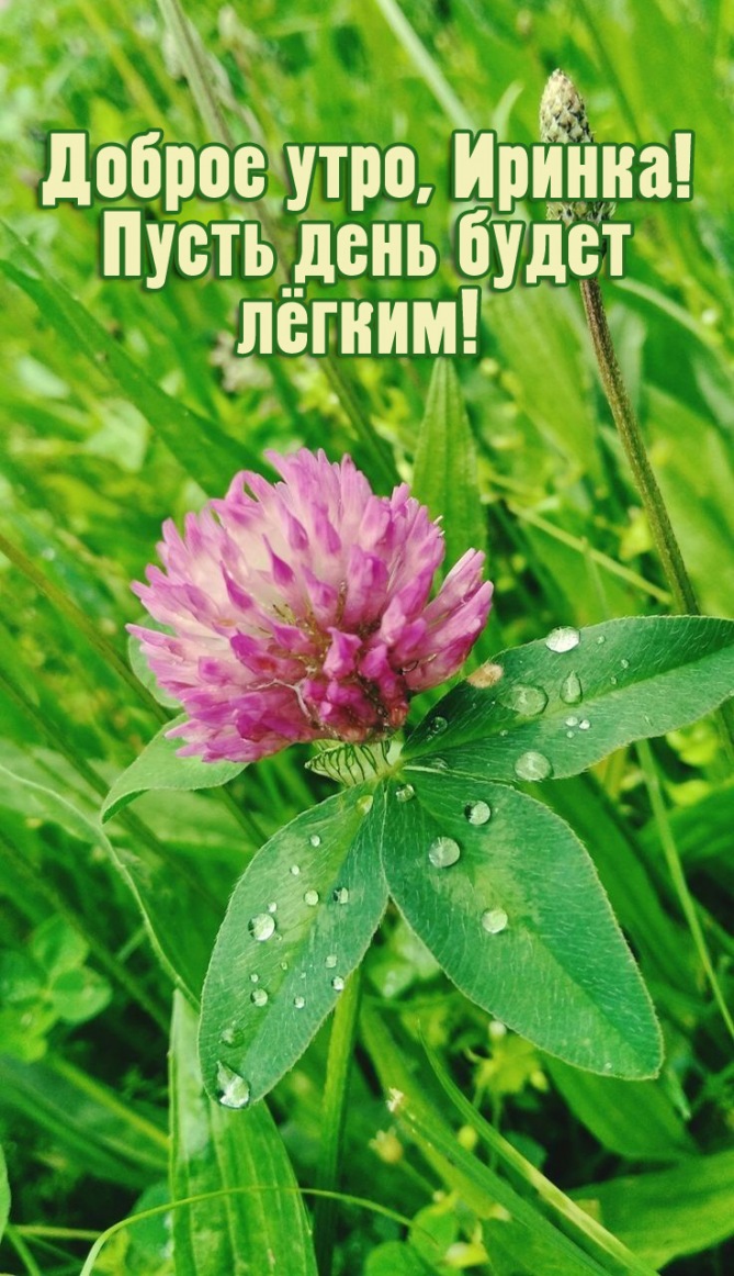 Пусть день будет лёгким! Пусть день будет лёгким!