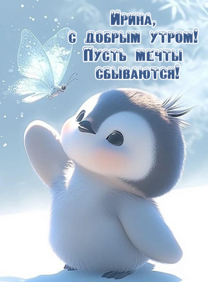 Пусть мечты сбываются! Пусть мечты сбываются!