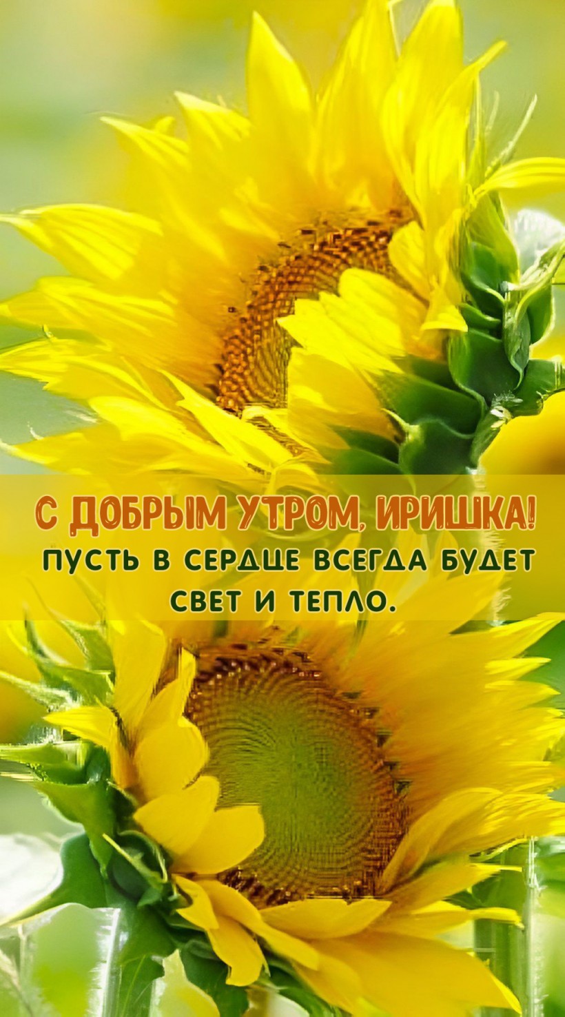 Пусть в сердце всегда будет свет и тепло. Пусть в сердце всегда будет свет и тепло.