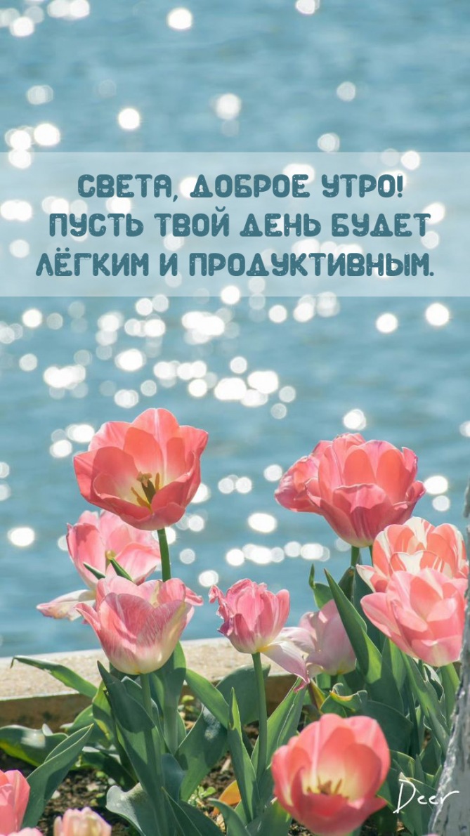 Открыть в полном размере Пусть твой день будет лёгким и продуктивным.