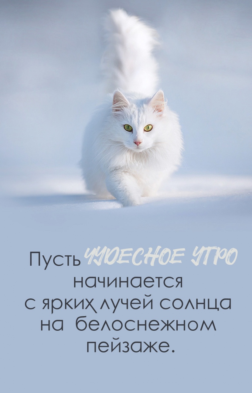 ����� �������� ���� ���������� � ����� ����� ������