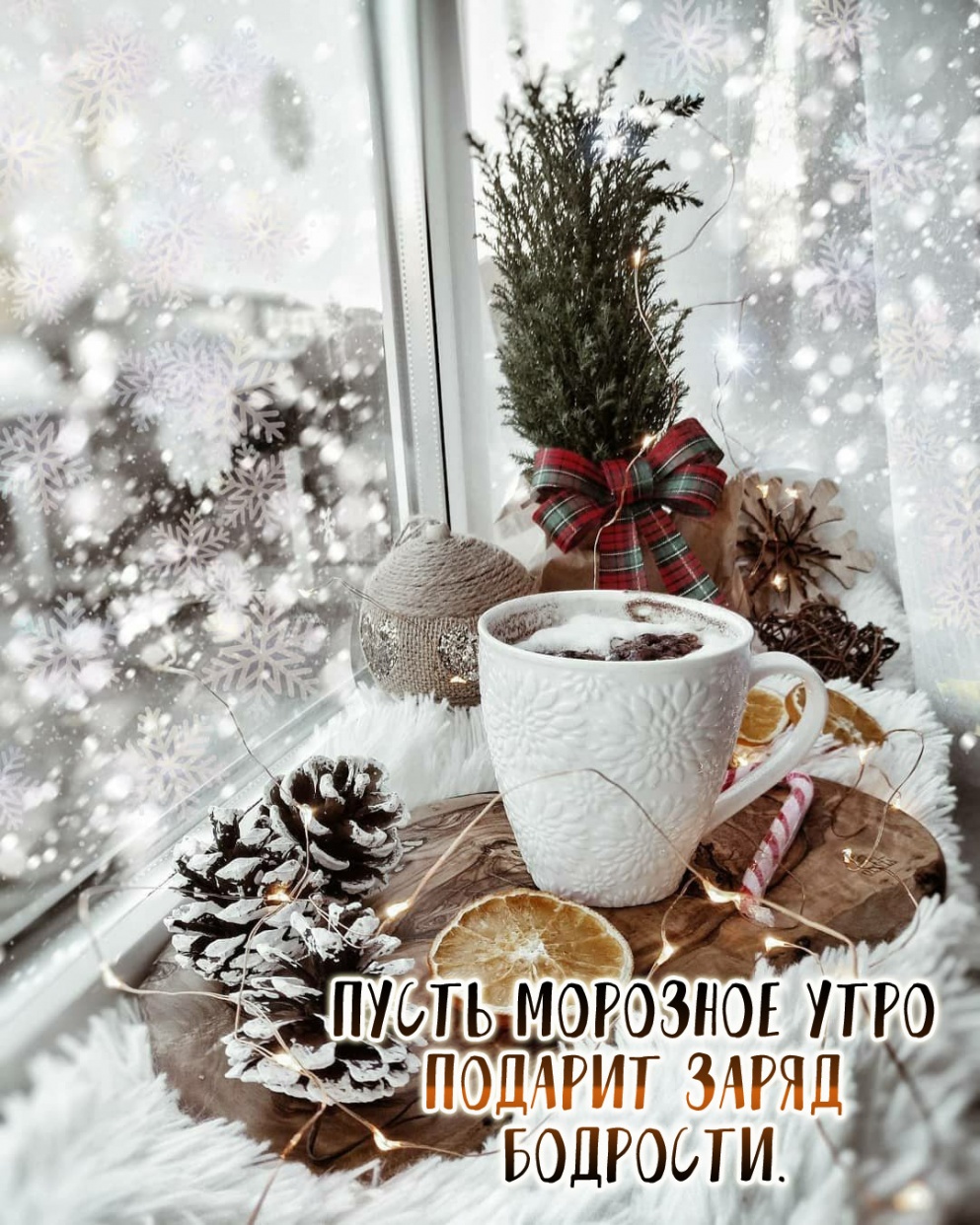 ����� �������� ���� ������� ����� ��������.