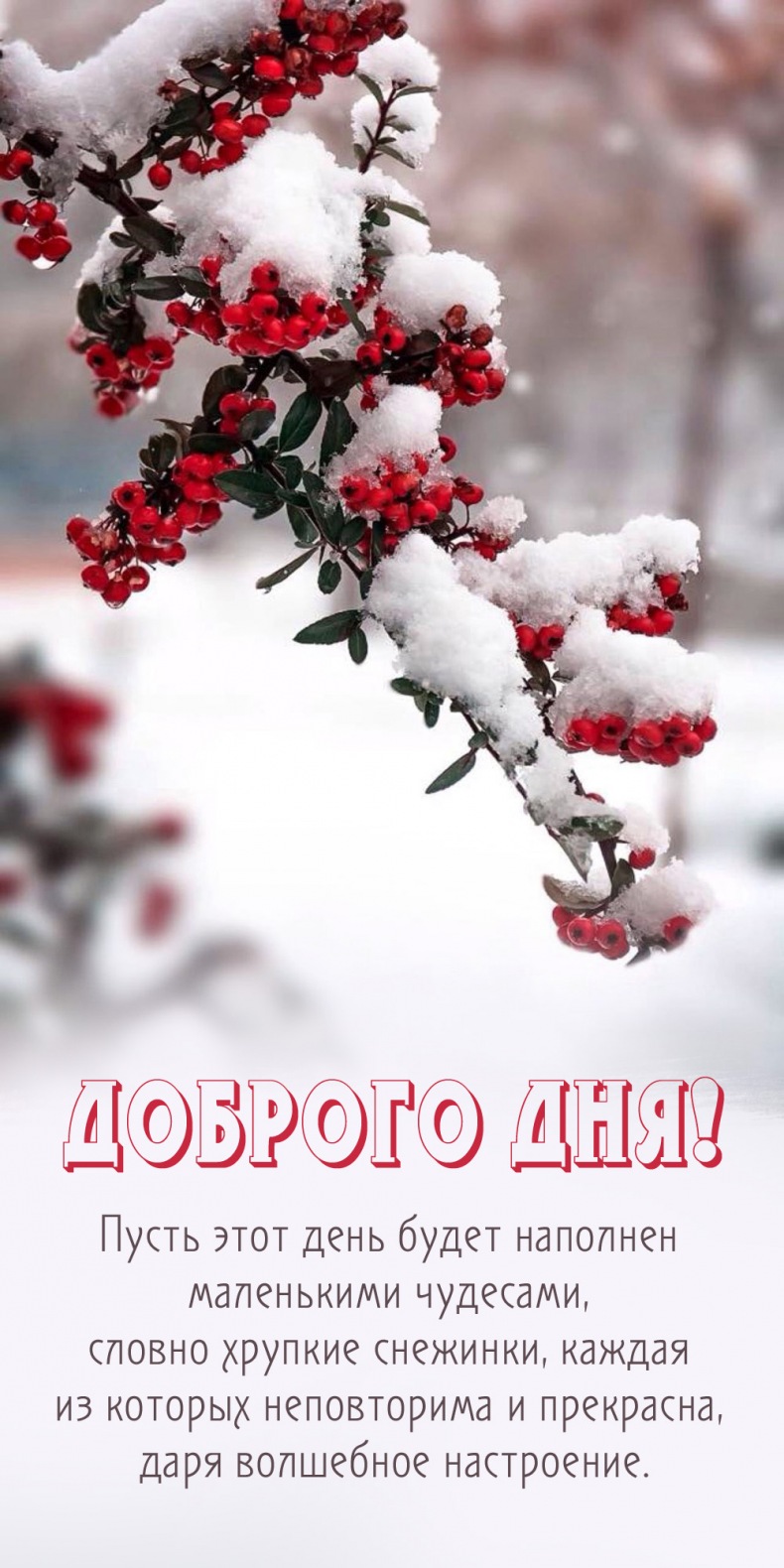 ����� ���� ���� ����� �������� ���������� ��������, ������ ������� ��������