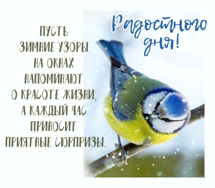 ����� ������ ����� �� ����� ���������� � ������� �����