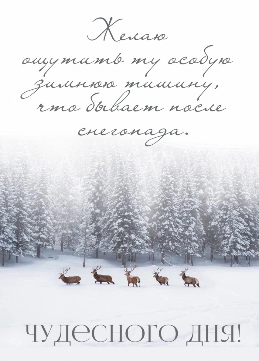 ����� ������� �� ������ ������ ������, ��� ������ ����� ���������.