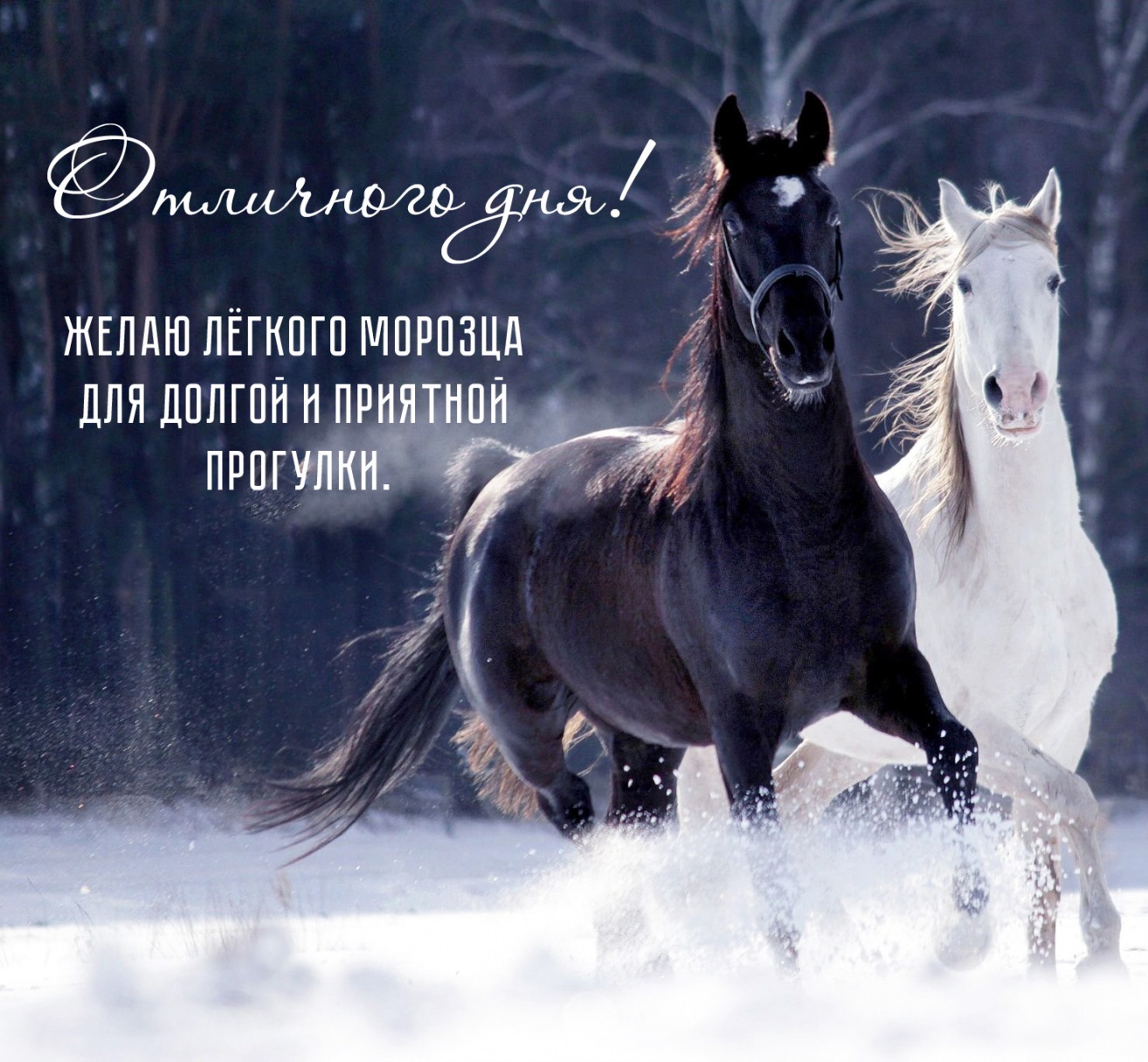 ����� ������ ������� ��� ������ � �������� ��������.