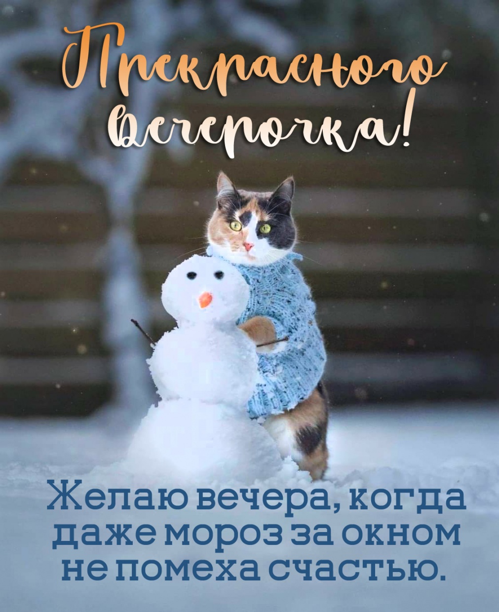 ����� ������, ����� ���� ����� �� ����� �� ������ �������.