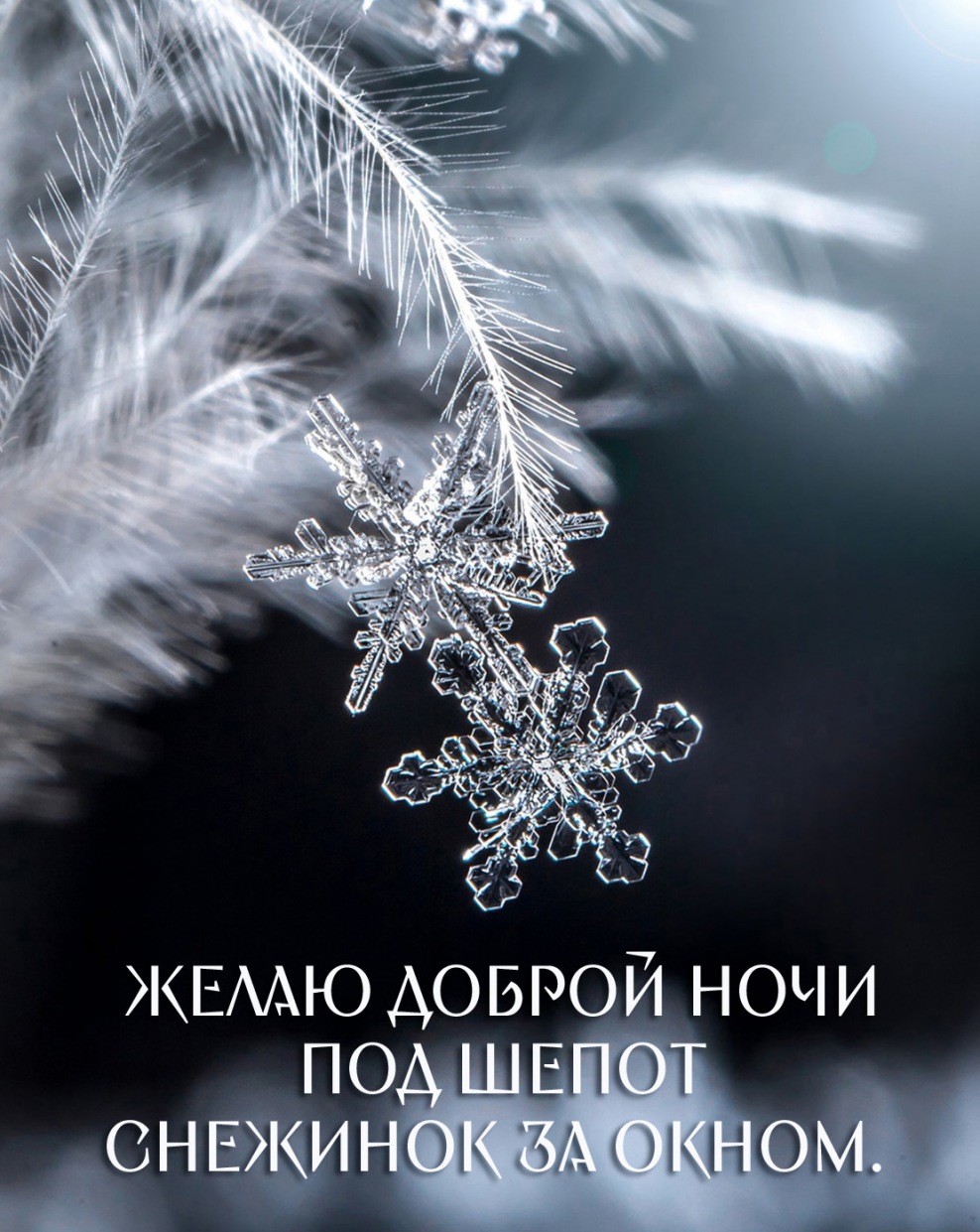 ����� ������ ���� ��� ����� �������� �� �����.