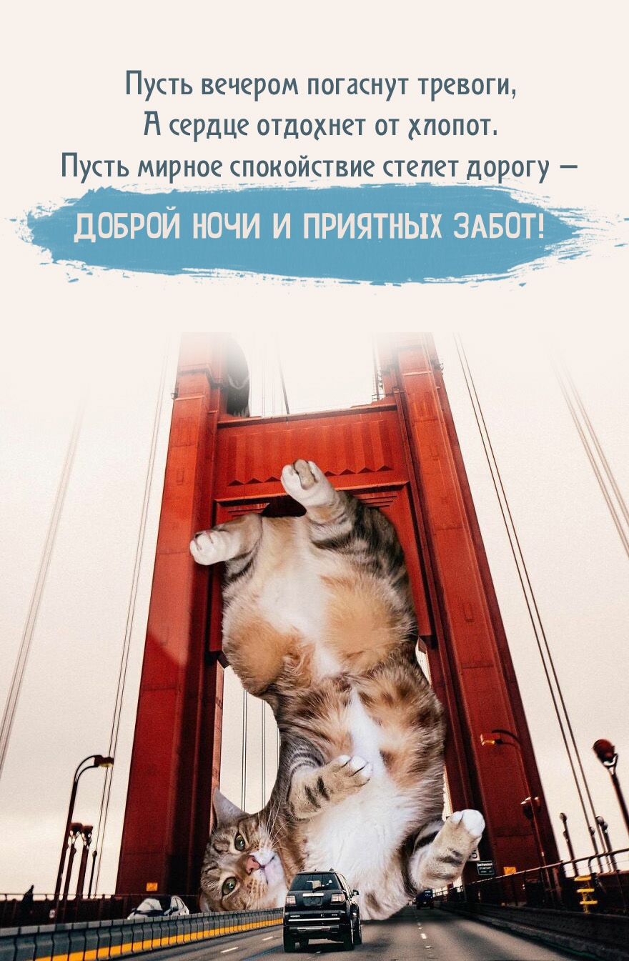 ����� ������� �������� �������