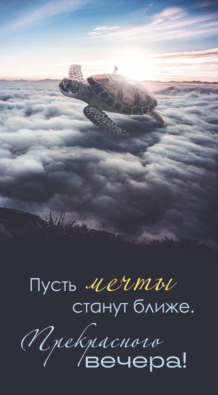 ����� ����� ������ �����. ����������� ������!