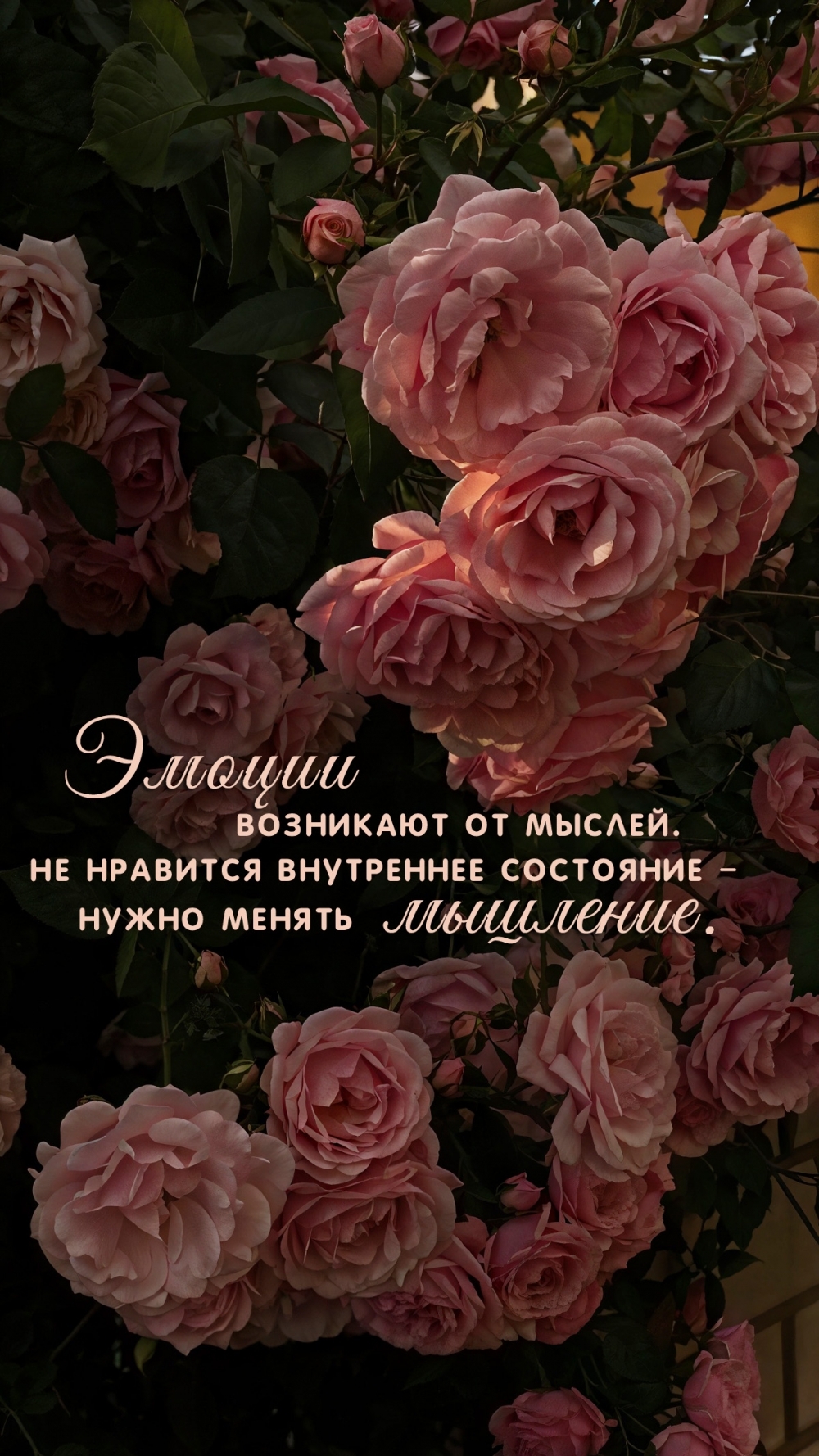 �� �������� ���������� ��������� � ����� ������ �������