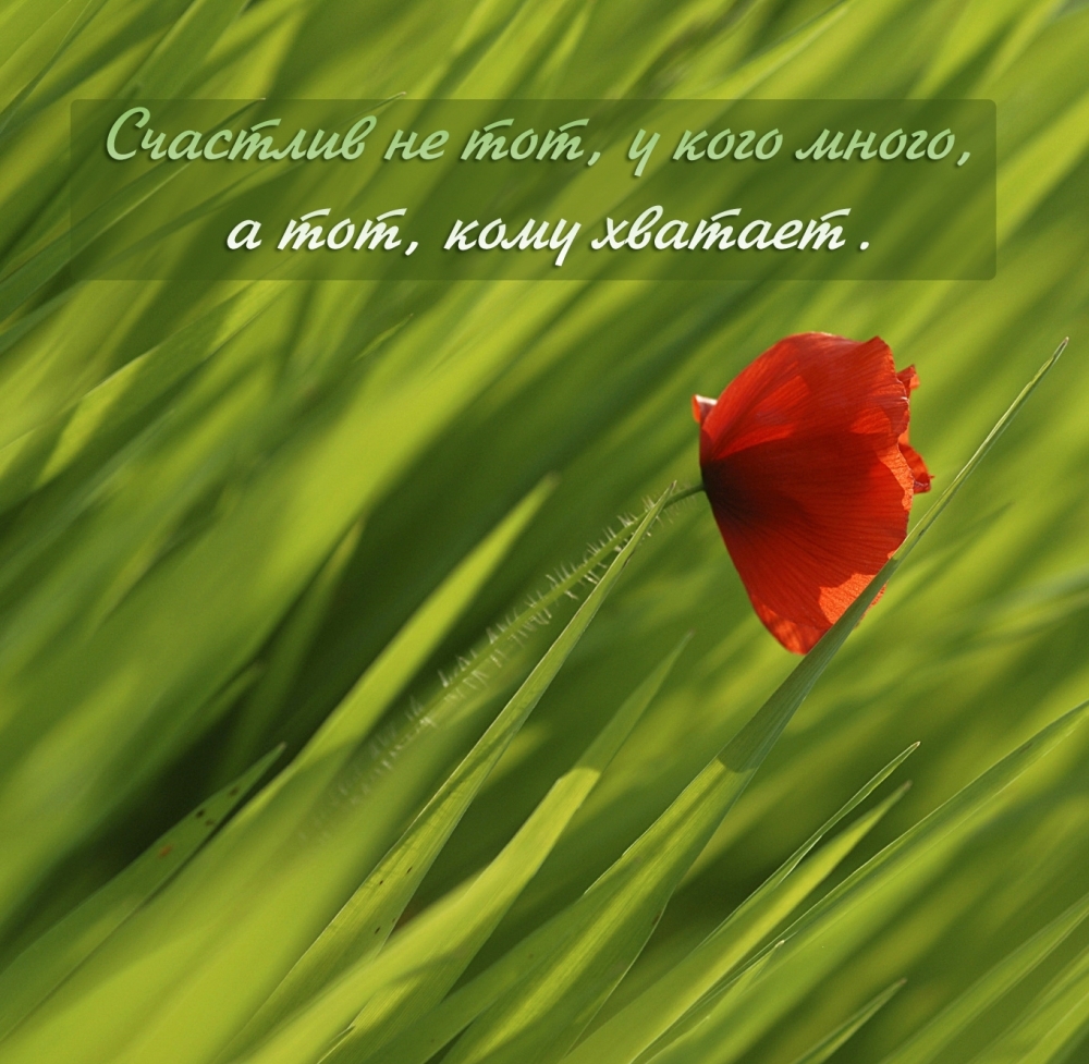 �������� �� ���, � ���� �����, � ���, ���� �������.