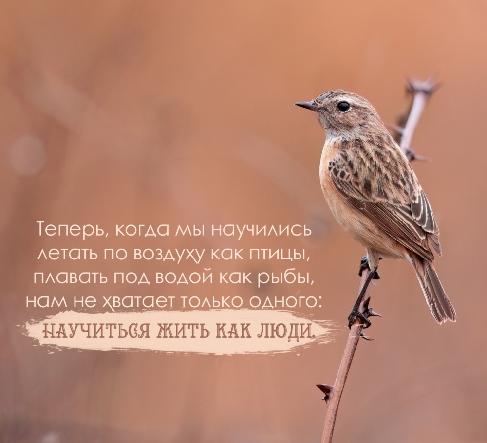 ������, ����� �� ��������� ������ �� ������� ��� �����