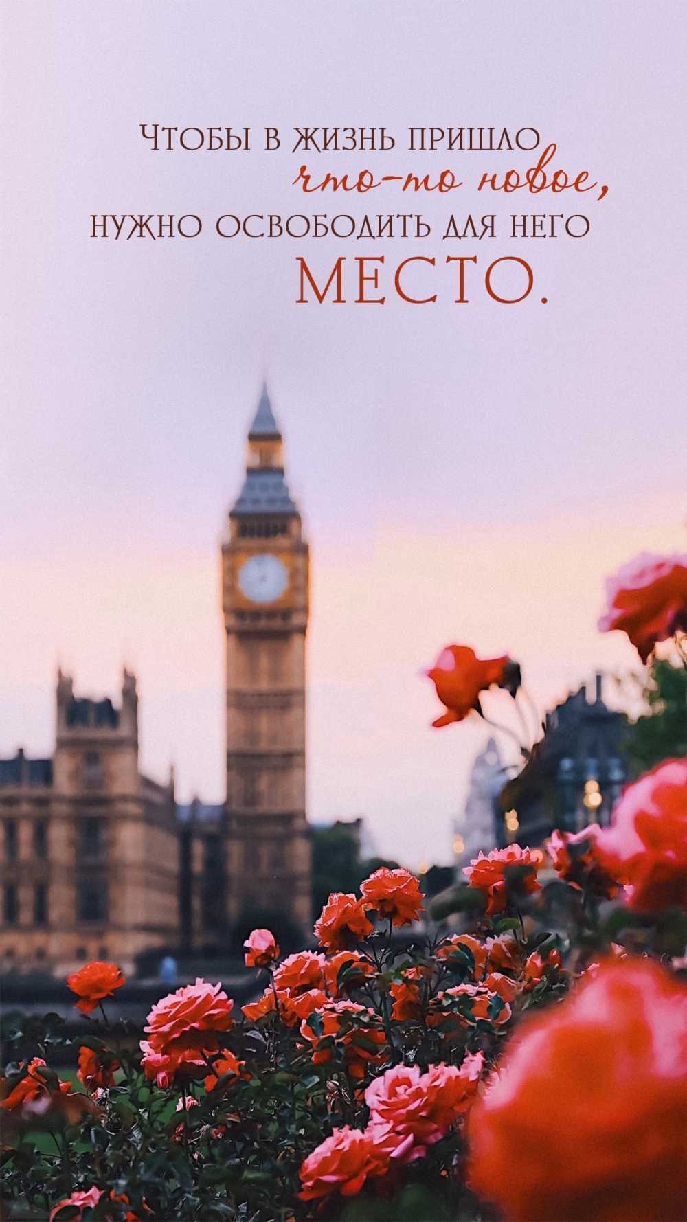 ����� � ����� ������ ���-�� �����, ����� ����������