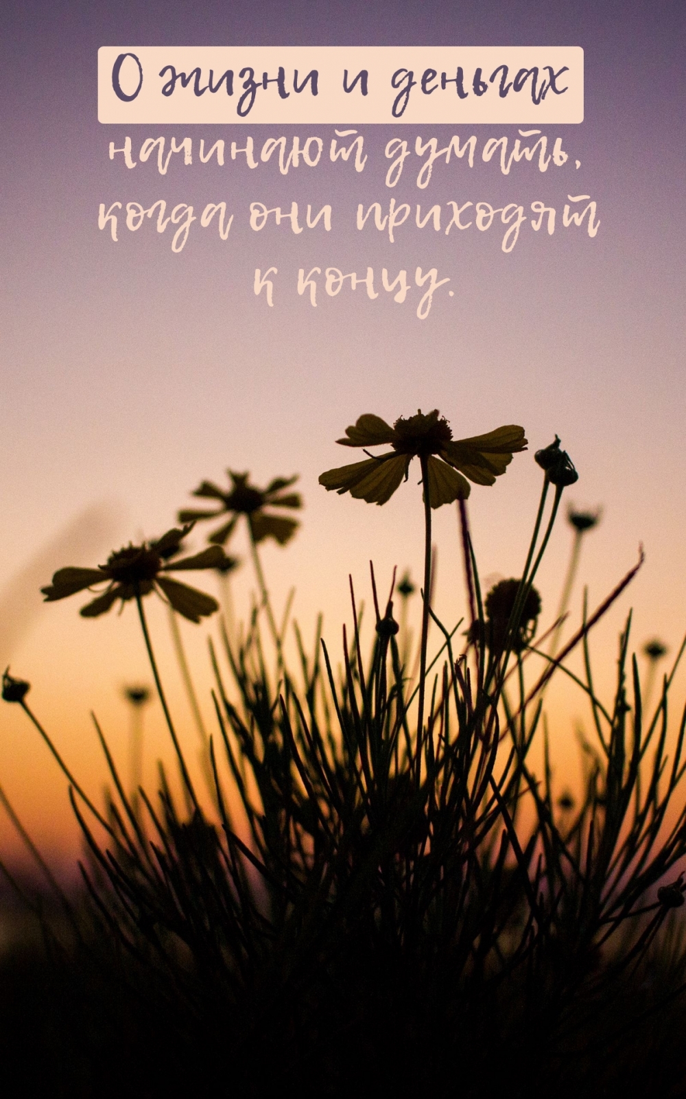 � ����� � ������� �������� ������, ����� ��� �������� � �����.