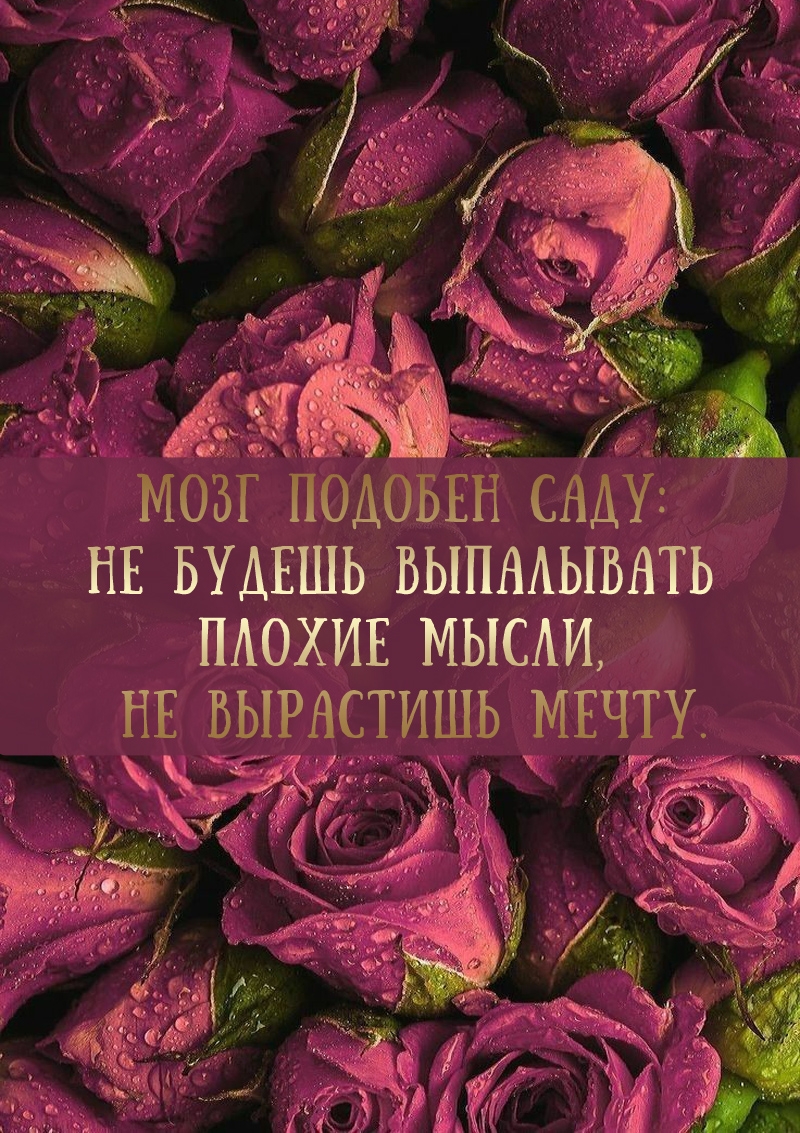 ���� ������� ����: �� ������ ���������� ������ �����