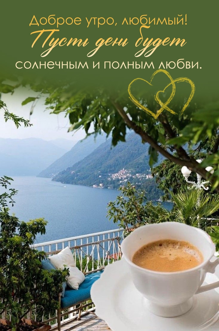 ������ ����, �������!