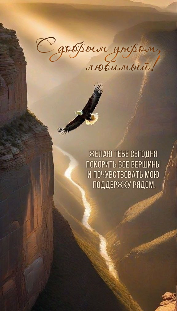 ����� ���� ������� �������� ��� �������