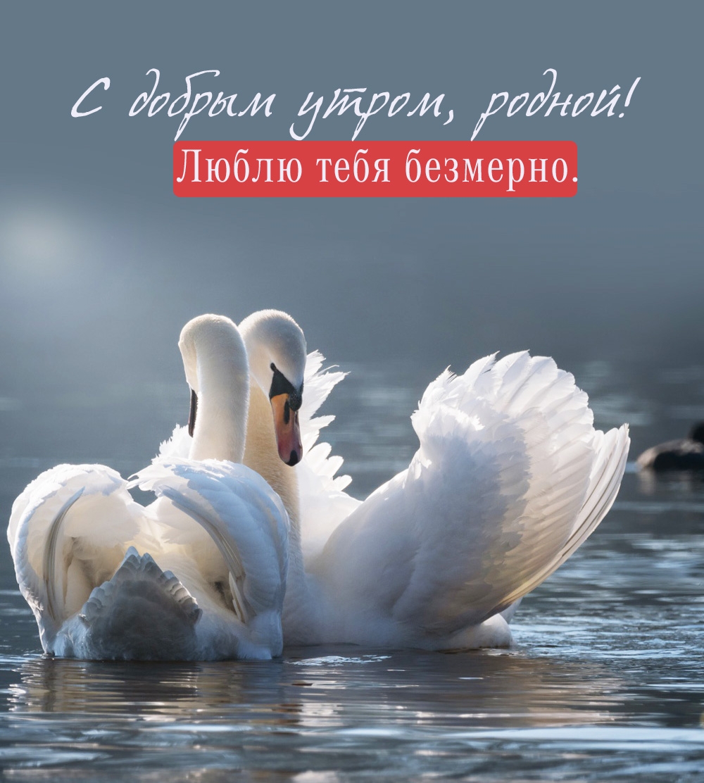 � ������ �����, ������! ����� ���� ��������.