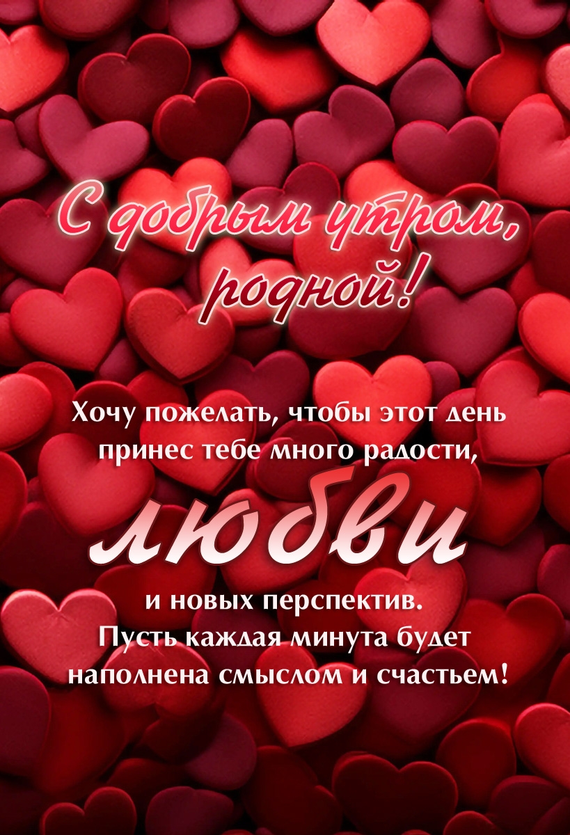 � ������ �����, ������! ���� ��������, ����� ���� ���� ������