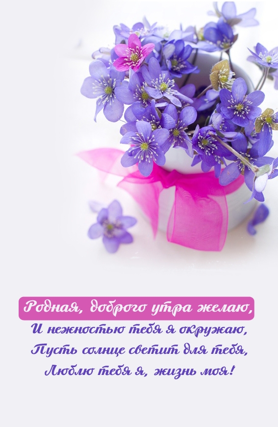 ����� ���� �, ����� ���!