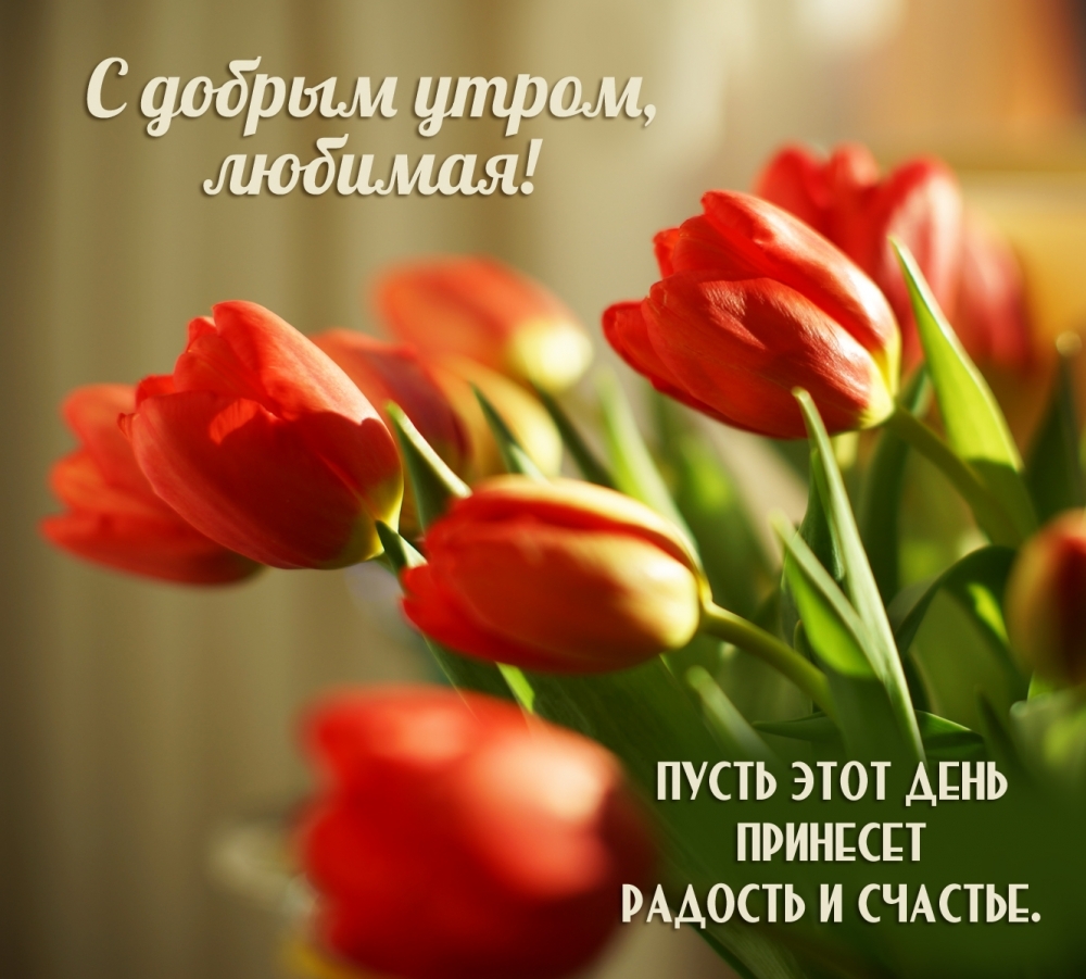 ����� ���� ���� �������� ������� � �������