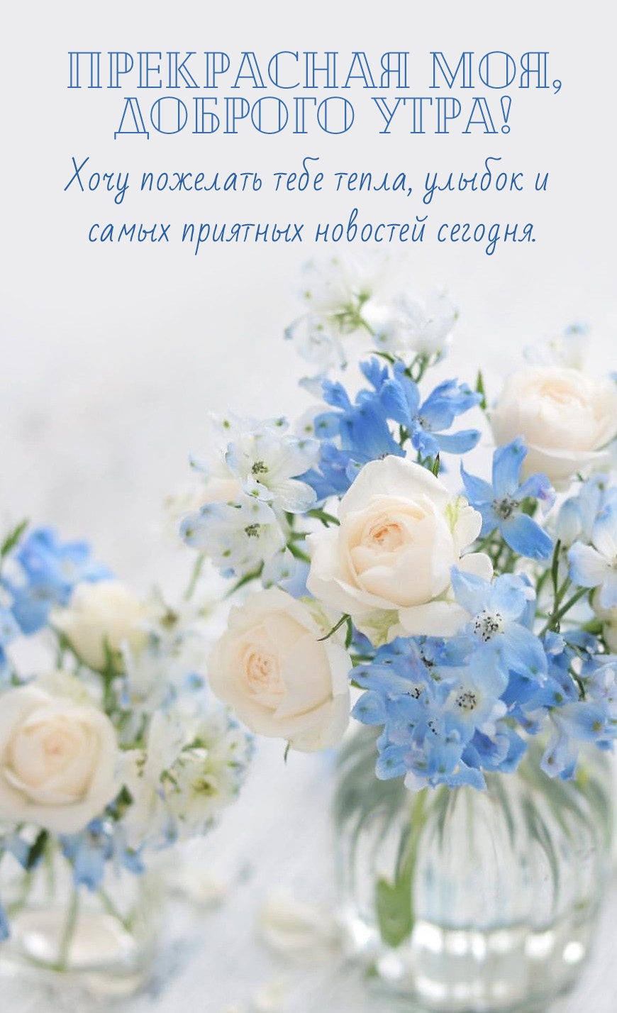 ���������� ���, ������� ����!