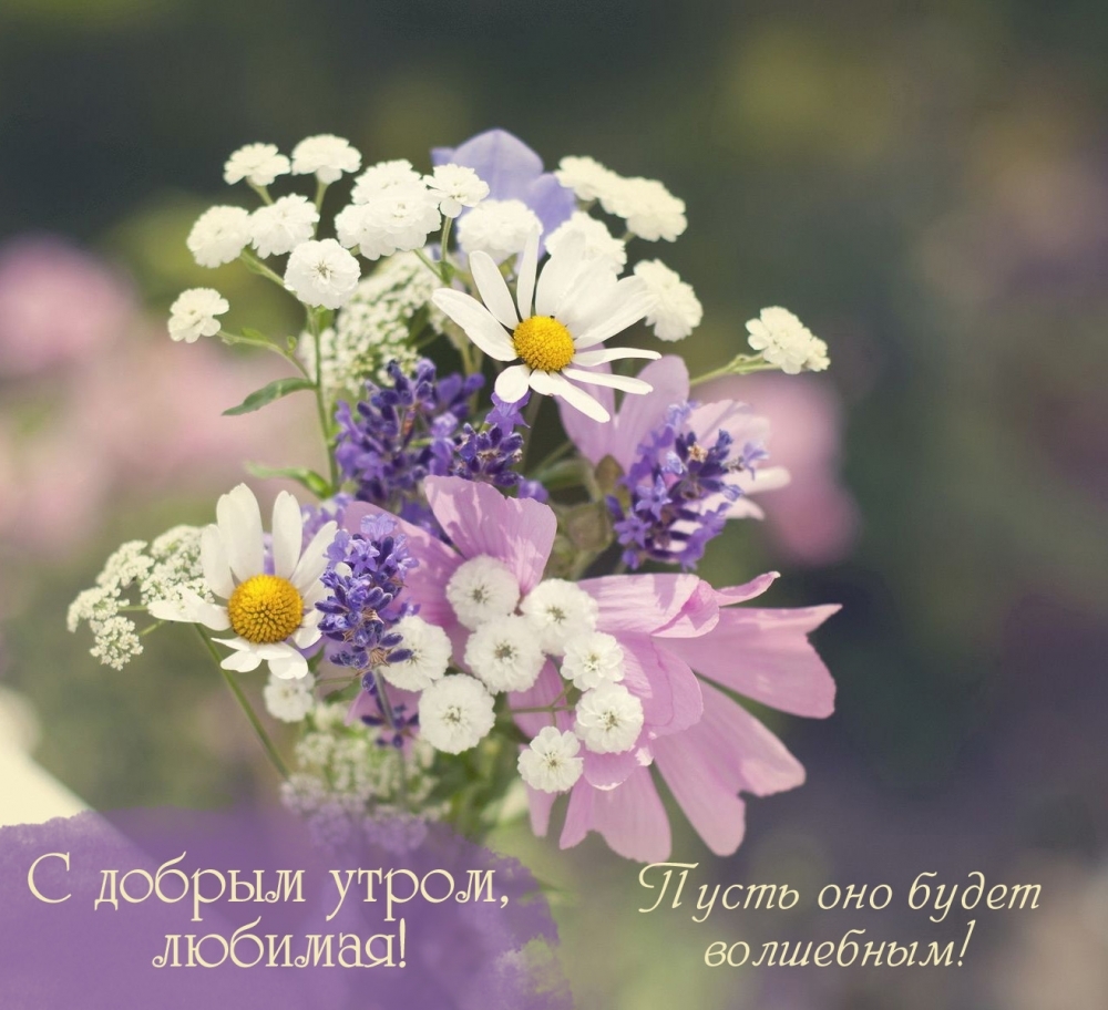 � ������ �����, �������! ����� ��� ����� ���������!