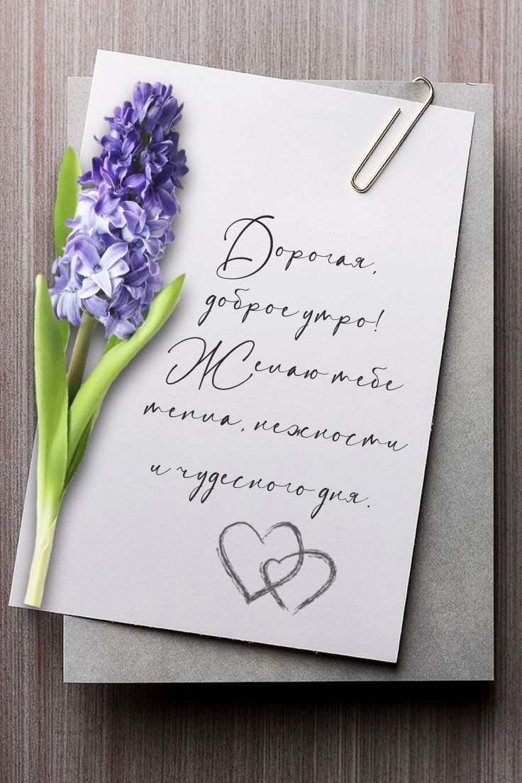 �������, ������ ����! ����� ���� �����