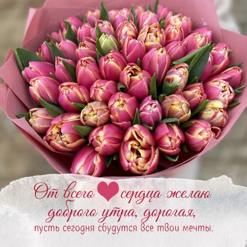 �� ����� ������ ����� ������� ����, �������!