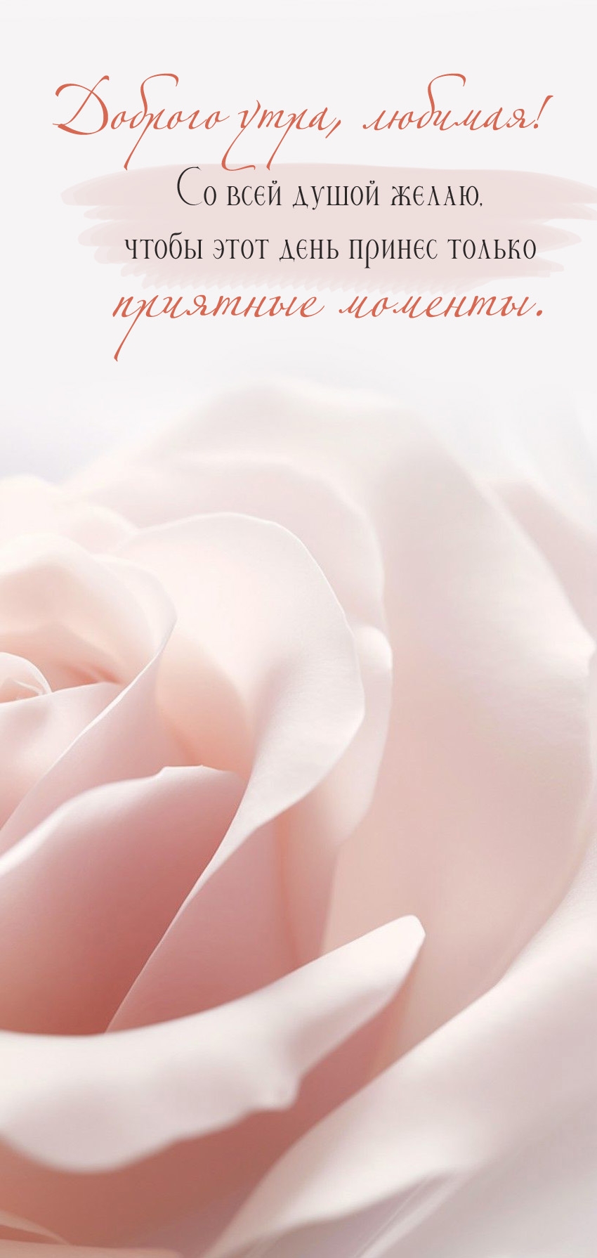 ������� ����, �������! �� ���� ����� �����