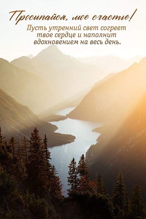 ����������, ��� �������!