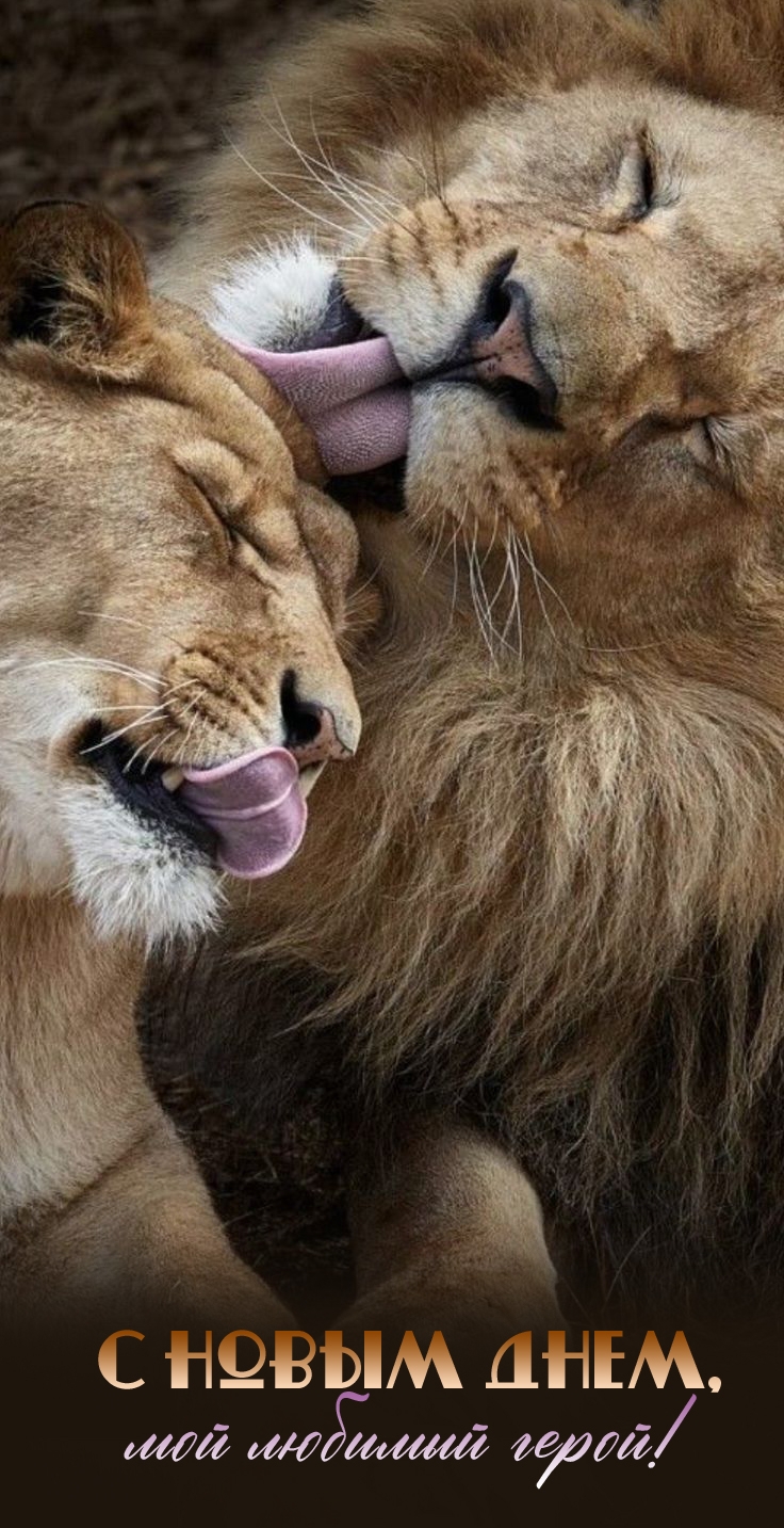 � ����� ����, ��� ������� �����!