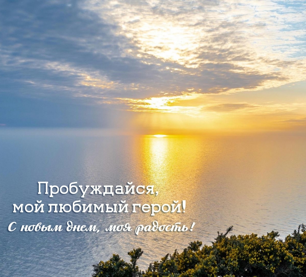 � ����� ����, ��� �������! �����������, ��� ������� �����!