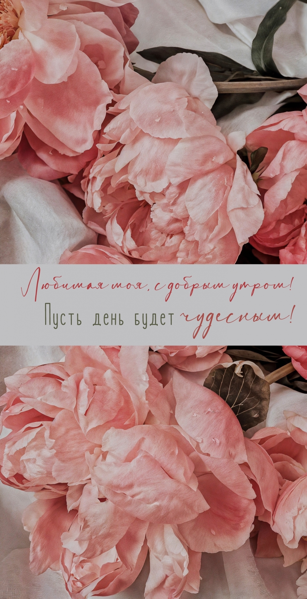 ������� ���, � ������ �����! ����� ���� ����� ��������!