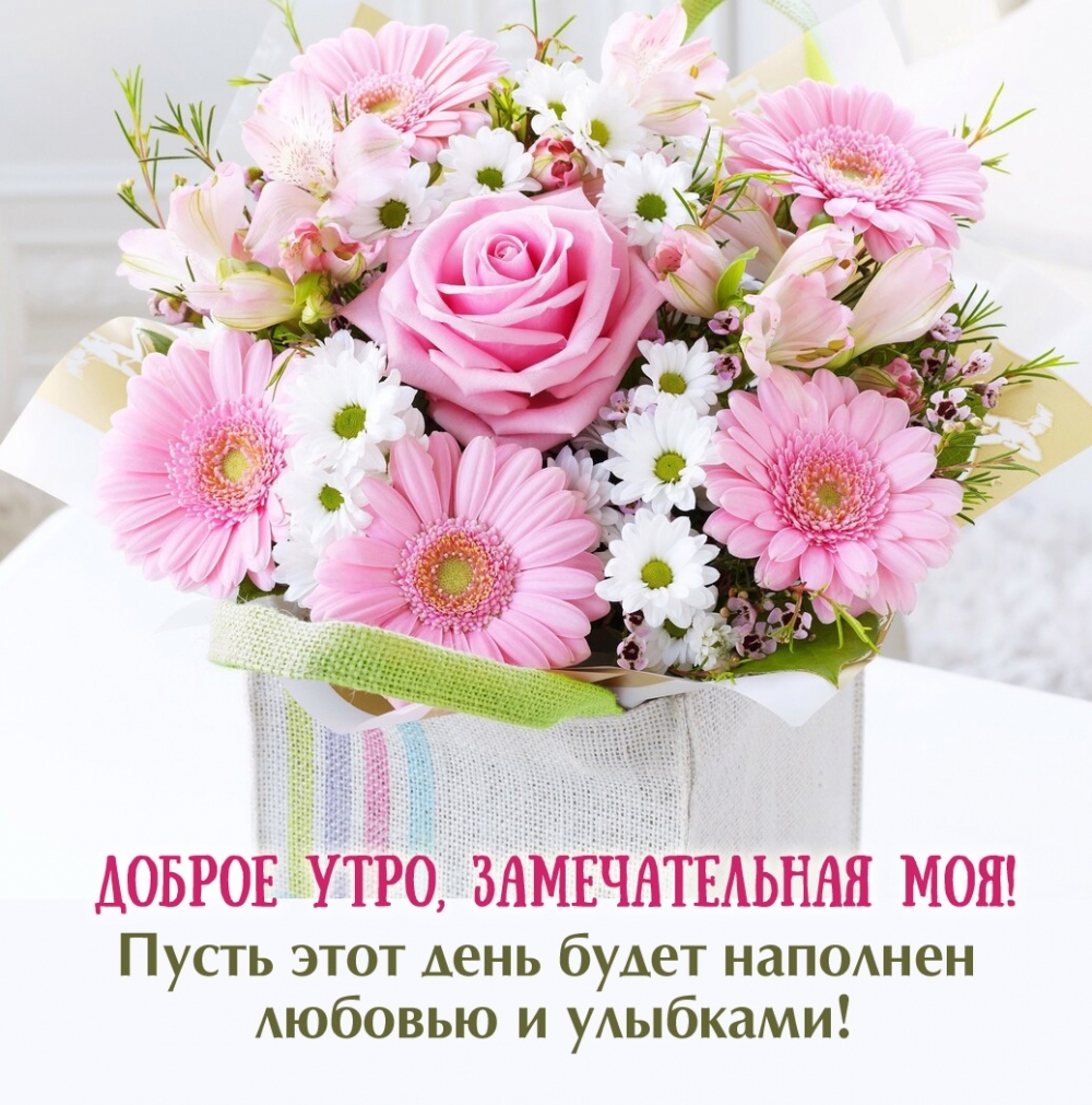 ������ ����, ������������� ���! 