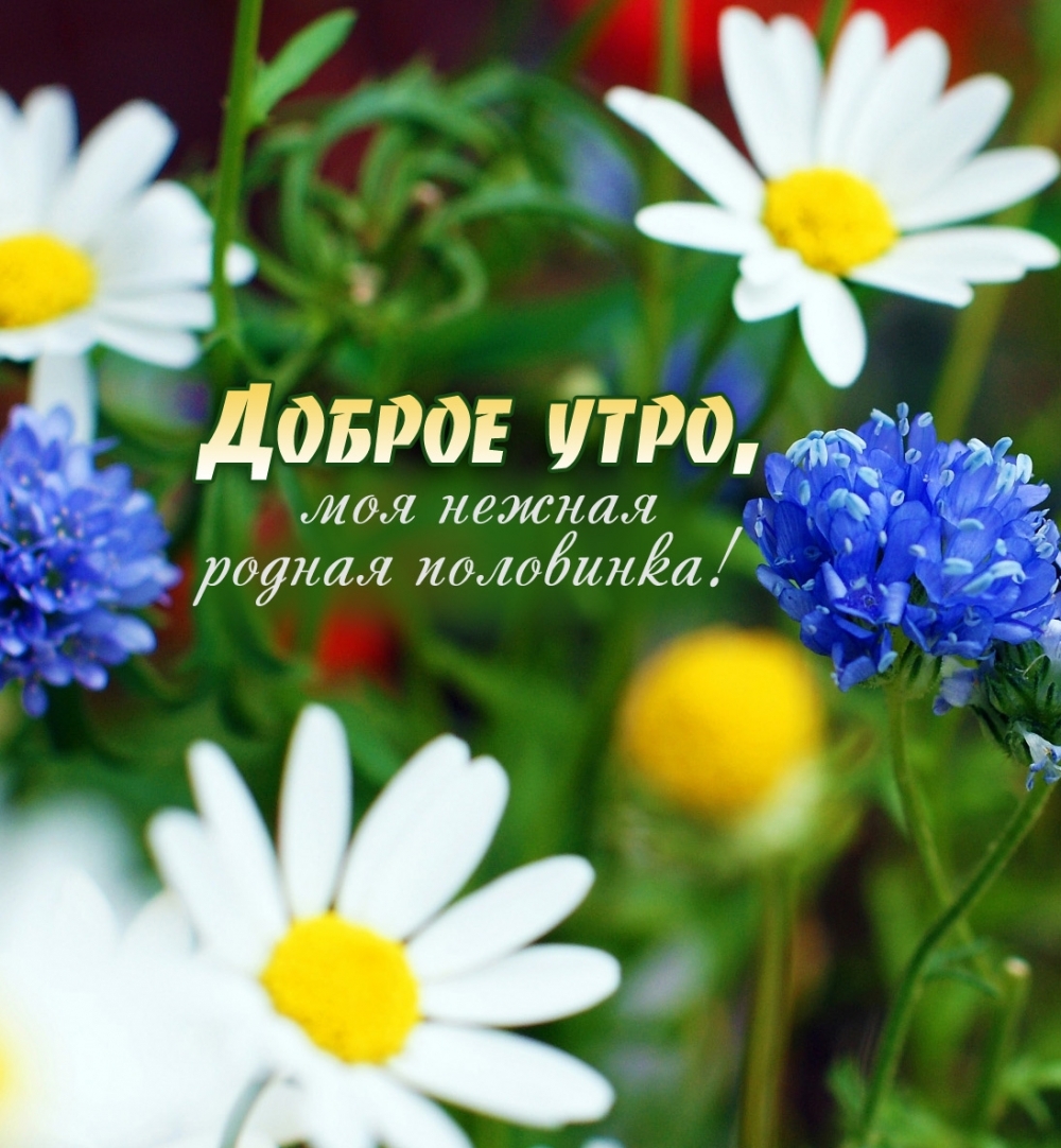 ������ ����, ��� ������ ������ ���������!