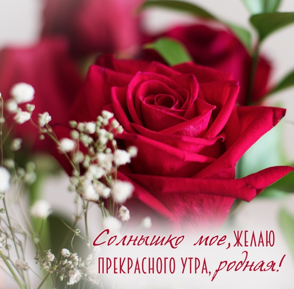 �������� ���, ����� ����������� ����, ������!