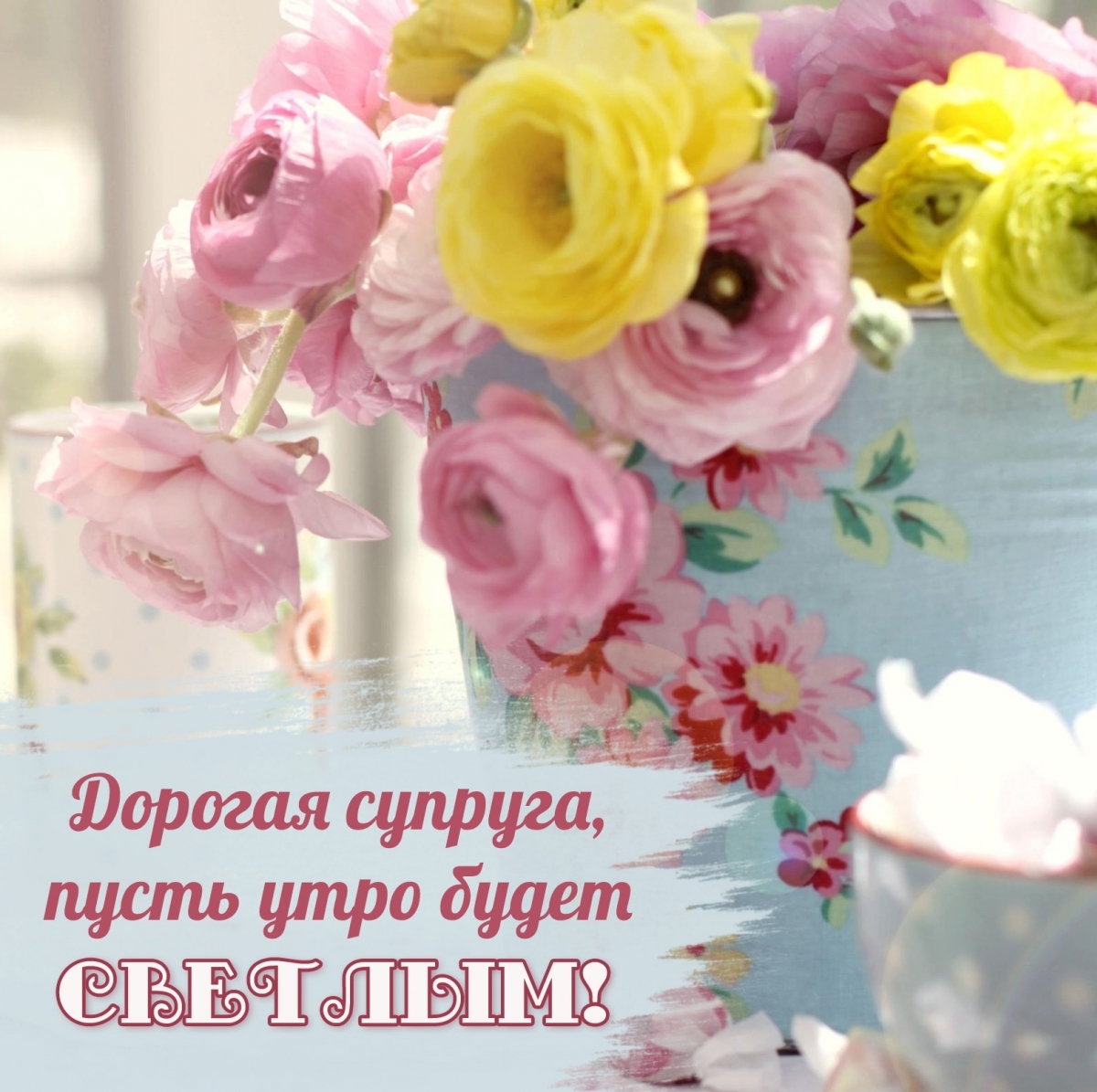 ������� �������, ����� ���� ����� �������!