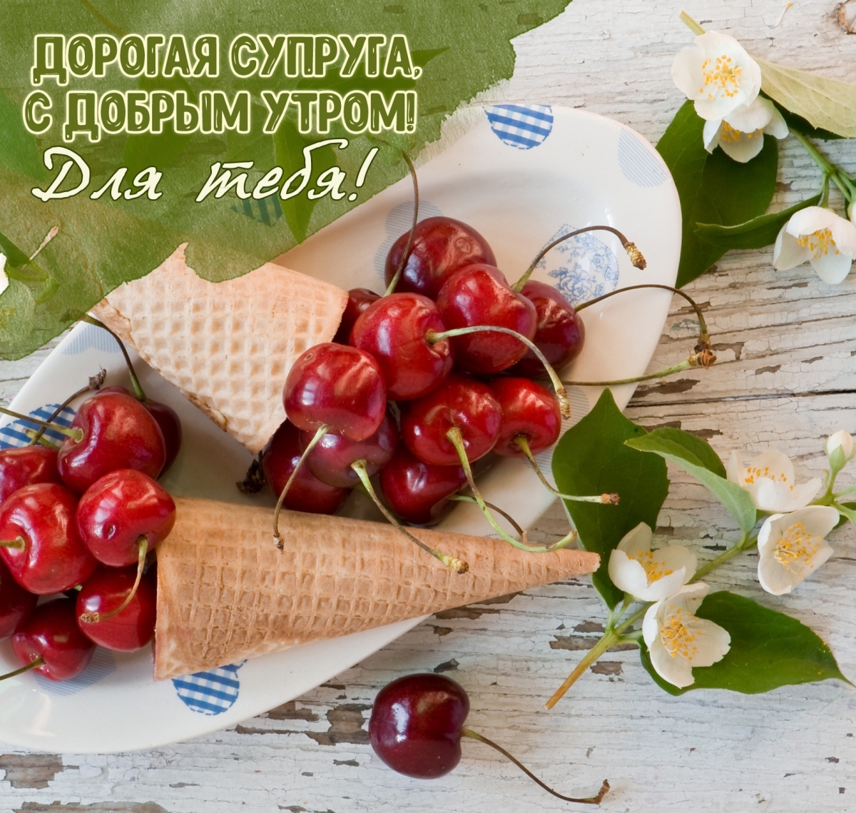 ������� �������, � ������ �����! ��� ����!