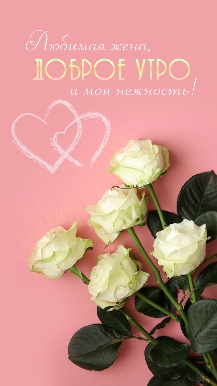 ������� ����, ������ ���� � ��� ��������!