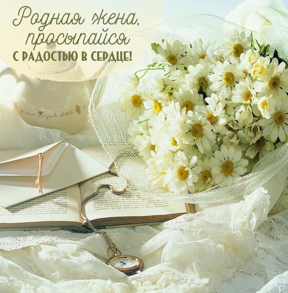 ������ ����, ���������� � �������� � ������!