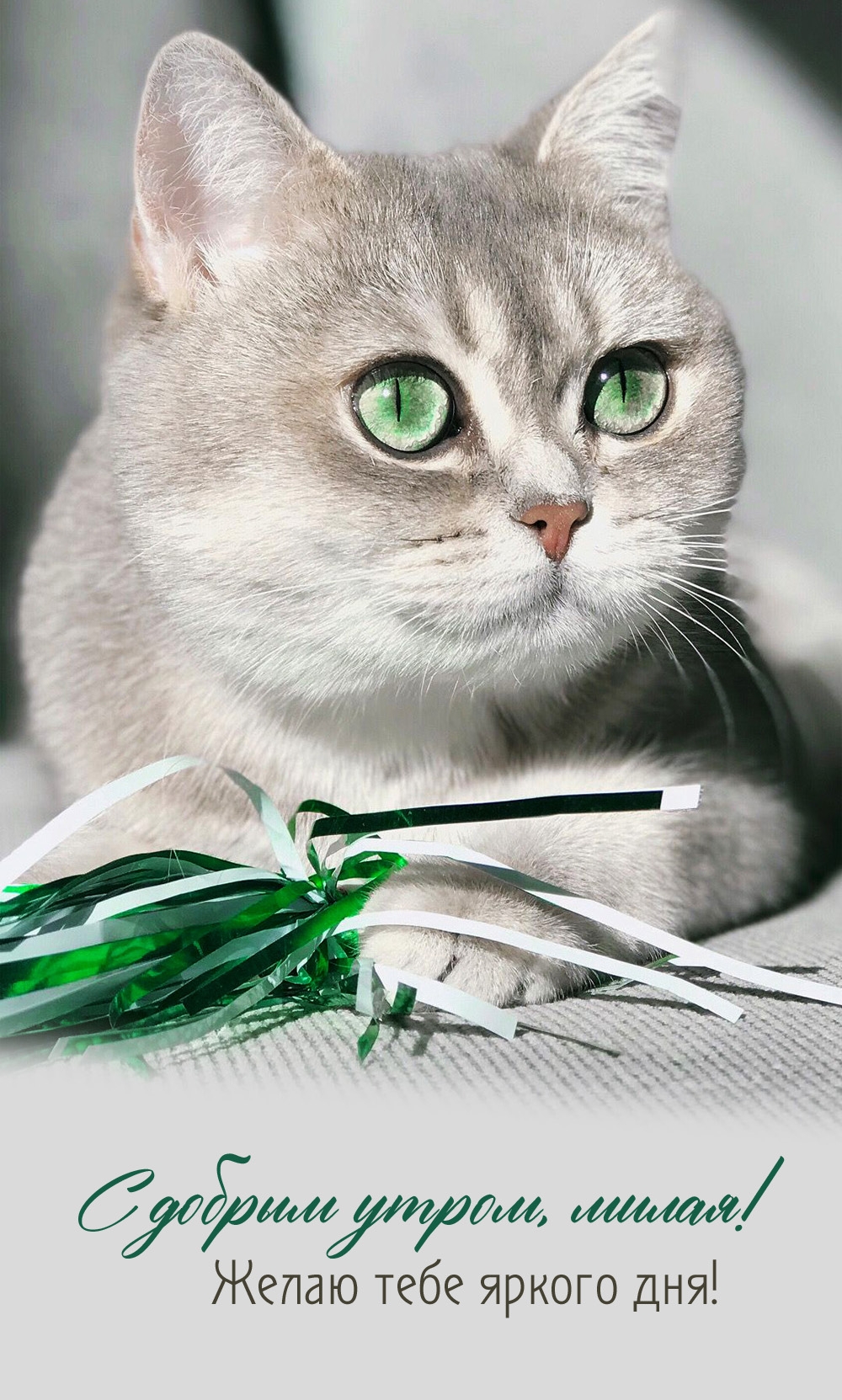 � ������ �����, �����! ����� ���� ������ ���!