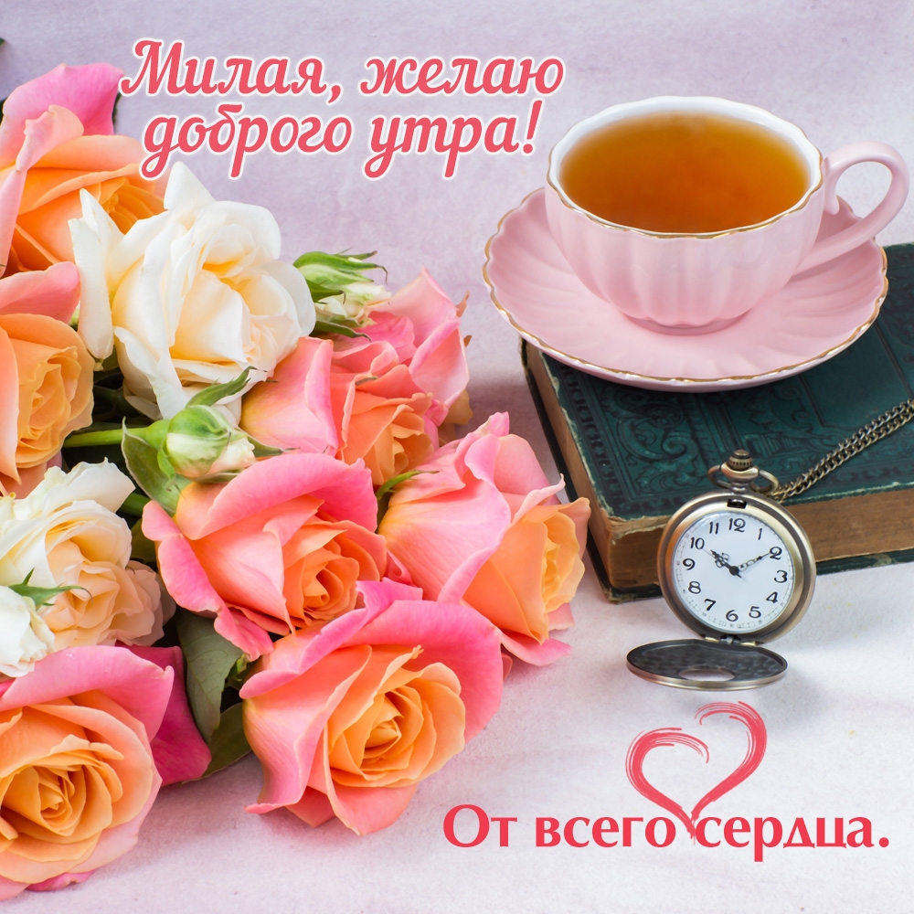 �����, ����� ������� ����! �� ����� ������.