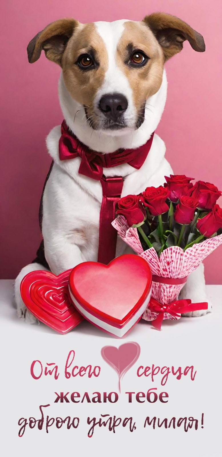 �� ����� ������ ����� ���� ������� ����, �����!