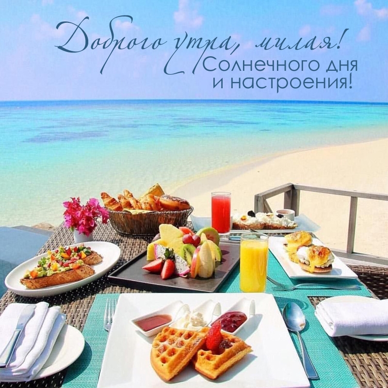 ������� ����, �����! ���������� ��� � ����������!