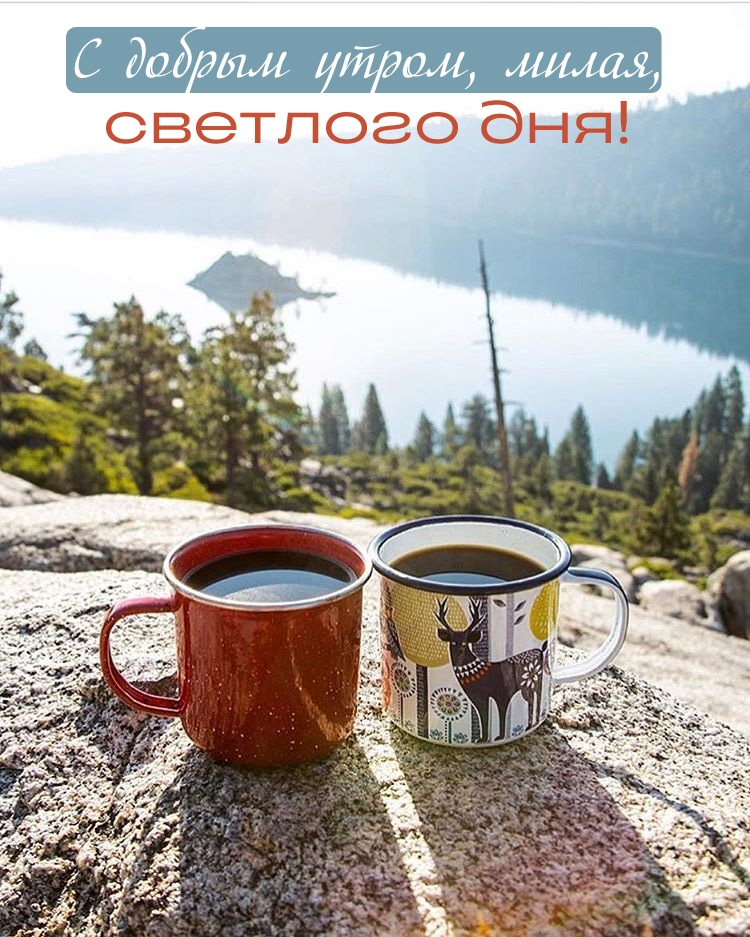 � ������ �����, �����, �������� ���!