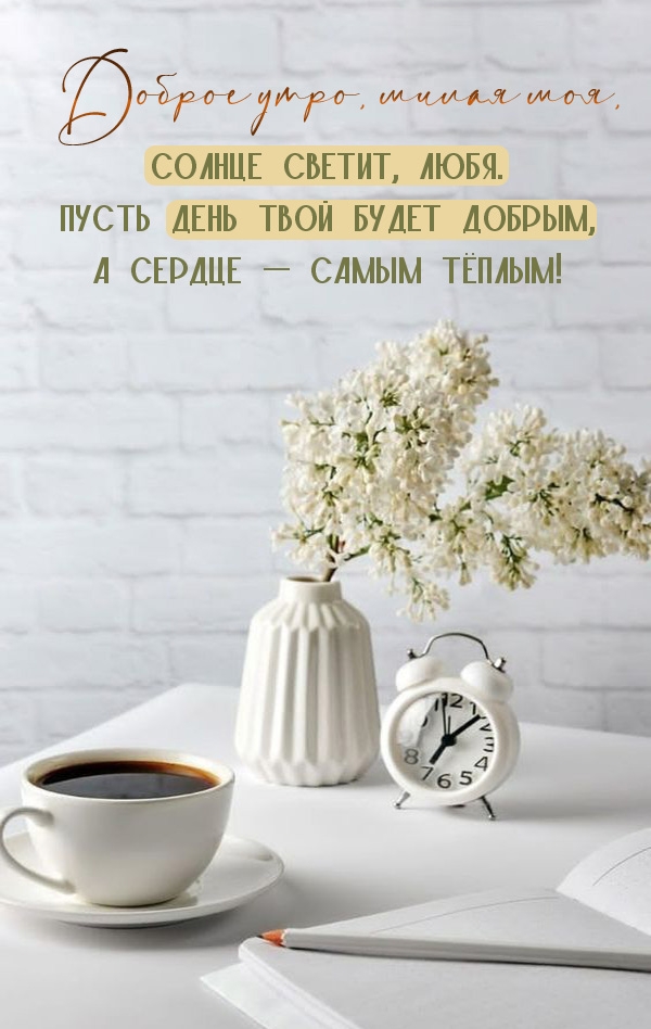 ������ ����, ����� ���! ������