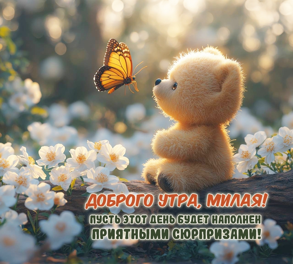 ������� ����, �����!