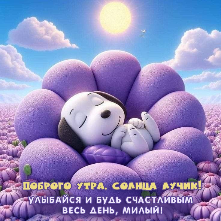 �������� � ���� ���������� ���� ����, �����!